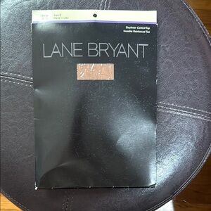 Lane Bryant day sheer control top pantyhose